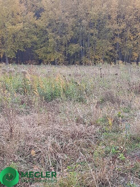 Działka Rusiec- dobra cena