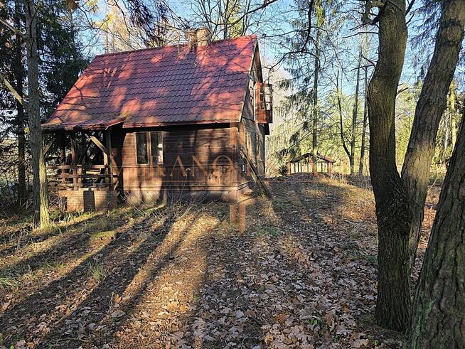 Rezydencja z potencjałem komercyjnym | rzeka | las