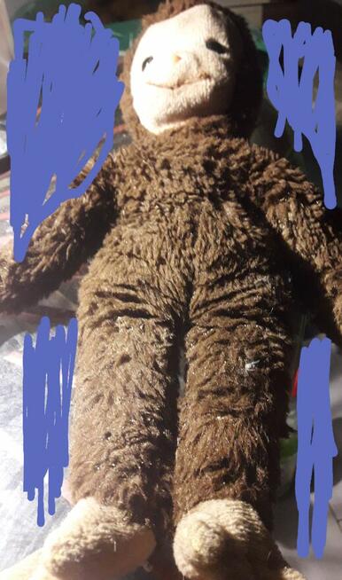 MIŚ TROCINIAK + MALPKA PRL