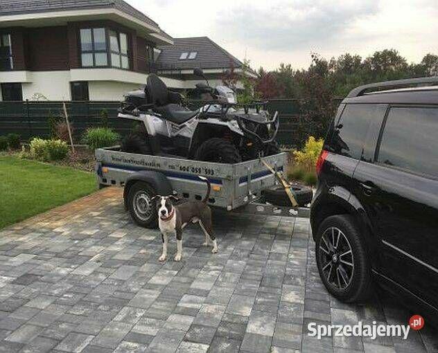 Przyczepa do transportu motocykla i quada
