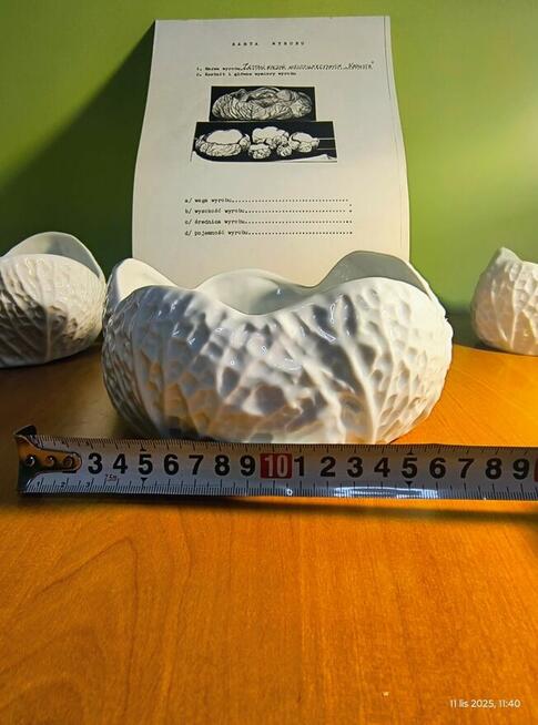 Zestaw naczyń wielofunkcyjnych kapusta