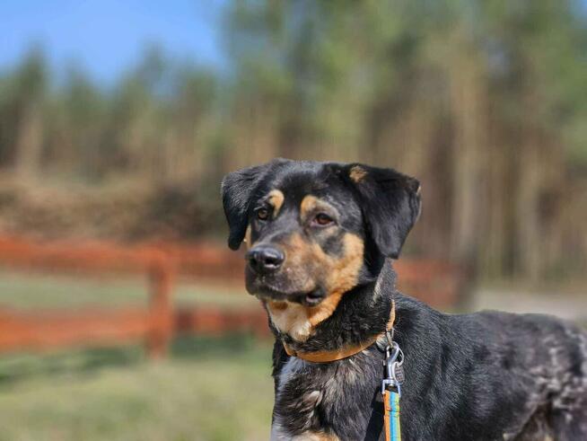 Już nie taki malutki ale ciągle czarniutki Koral