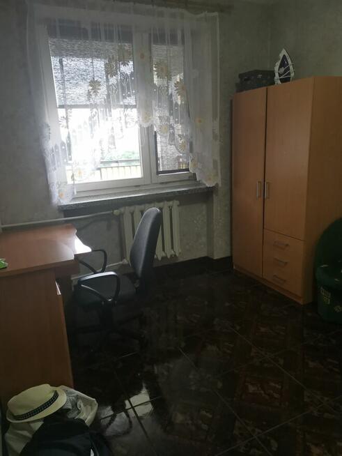 Mieszkanie do wynajęcia