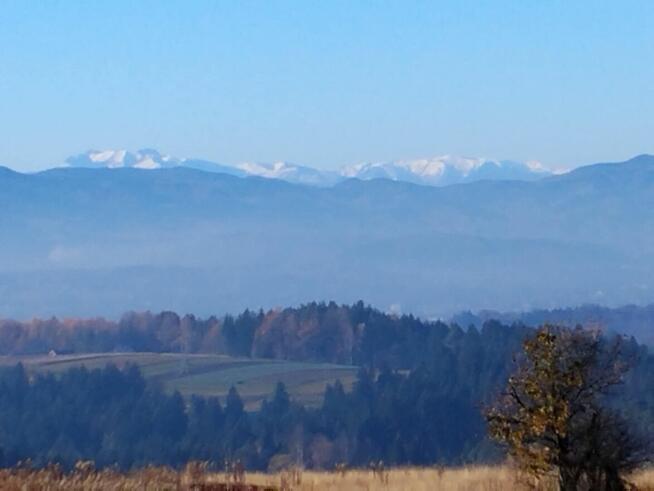 Domy na sprzedarz Paszyn