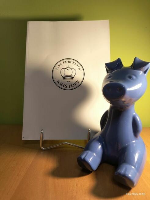 Sympatyczna świnka skarbonka