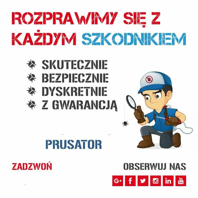 PRUSATOR Skuteczna Dezynsekcja Warszawa Dezynfekcja Pluskwa
