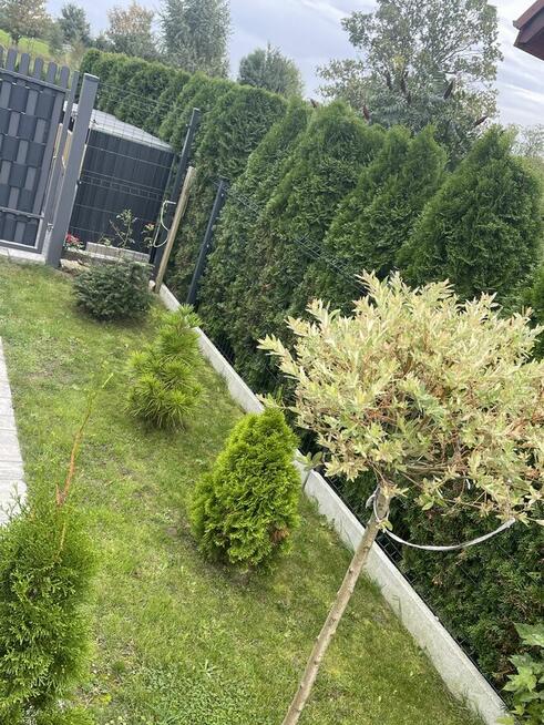 Mieszkanie z pięknym ogrodem/ cztery pokoje/ bliźniak