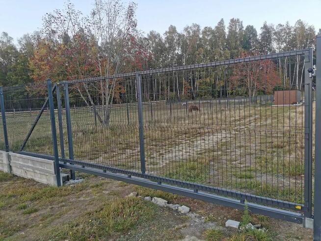 OGRODZENIA Pomorskie CENY ZIMOWE bramy furtki TANIO PROMOCJA