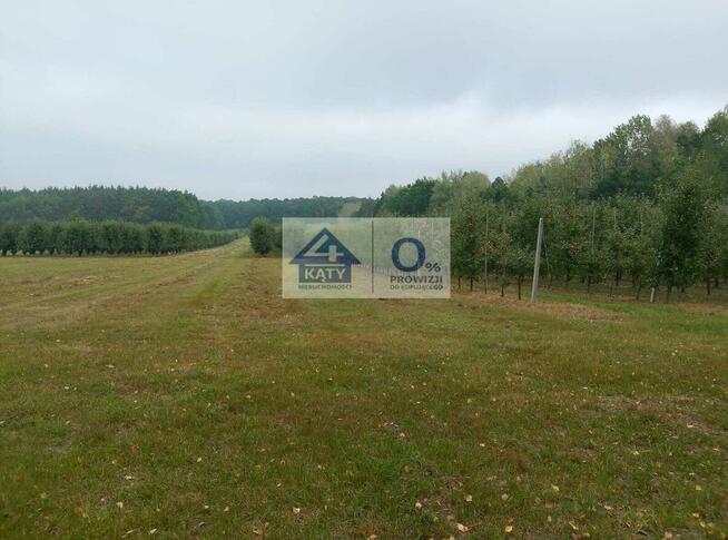 Działka budowlana Głuchów