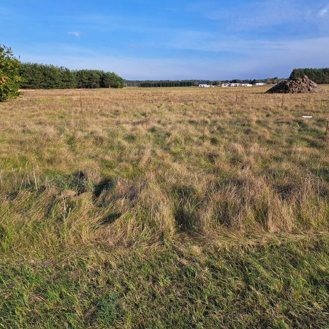 sprzedam działke budowlana z ustalonymi warunkami zabudowy