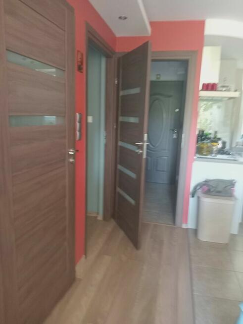 Mieszkanie do wynajęcia