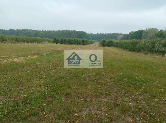 Działka budowlana Głuchów