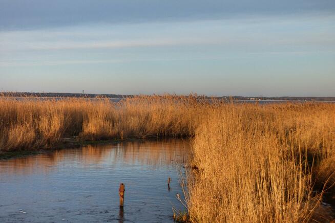 Działka rolna Koszalin