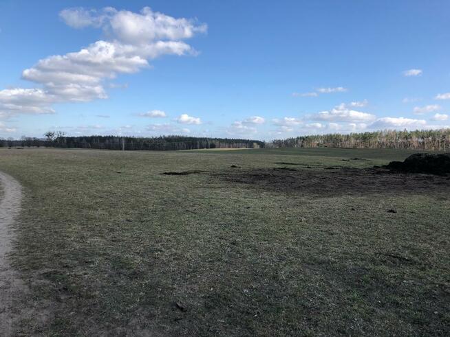 Działka rolno-budowlana Golczewo, Sosnowice