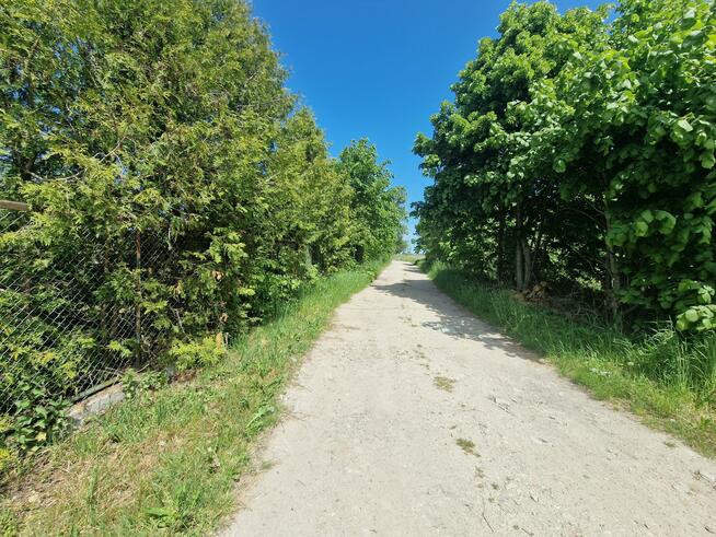 Działka rolna Gąski gm. Mielno