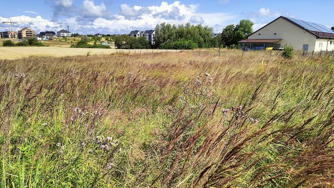 Działka budowlana Ustronie Morskie