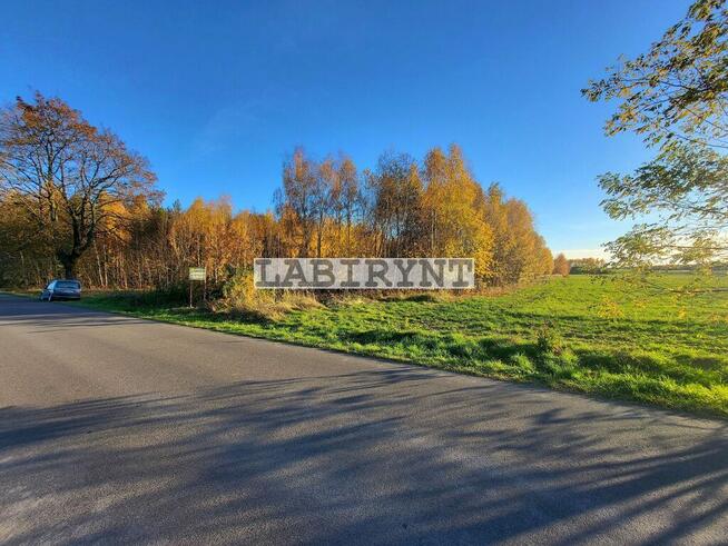 Jamno, ul. Kruszyńska, 2860m2, budowlano-rolna