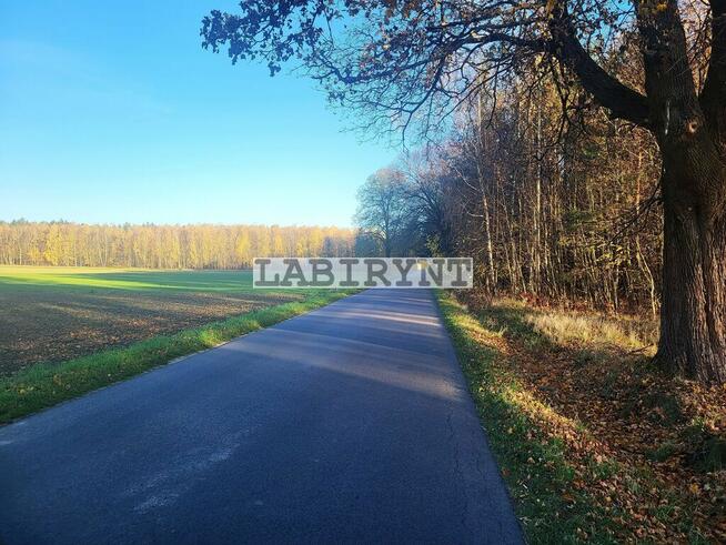 Jamno, ul. Kruszyńska, 2860m2, budowlano-rolna