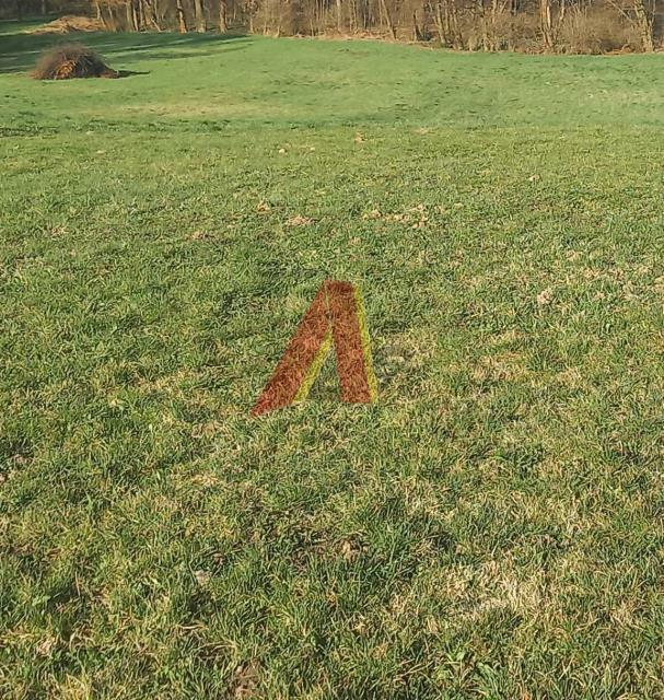 Działka budowlana Tomaszowice gm. Wielka Wieś, Wiejska