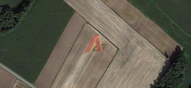 Działka rolna Pałecznica, Pałecznica