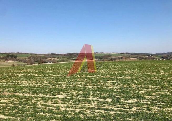 Działka rolna Brzoskwinia gm. Zabierzów, Kamyk