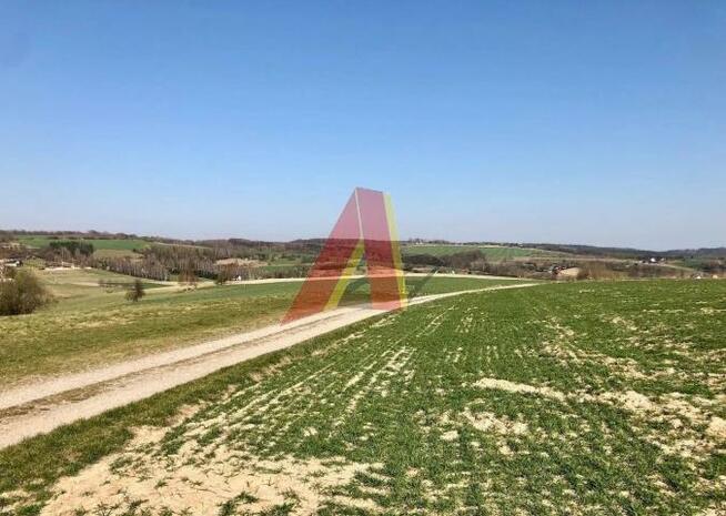 Działka rolna Brzoskwinia gm. Zabierzów, Kamyk