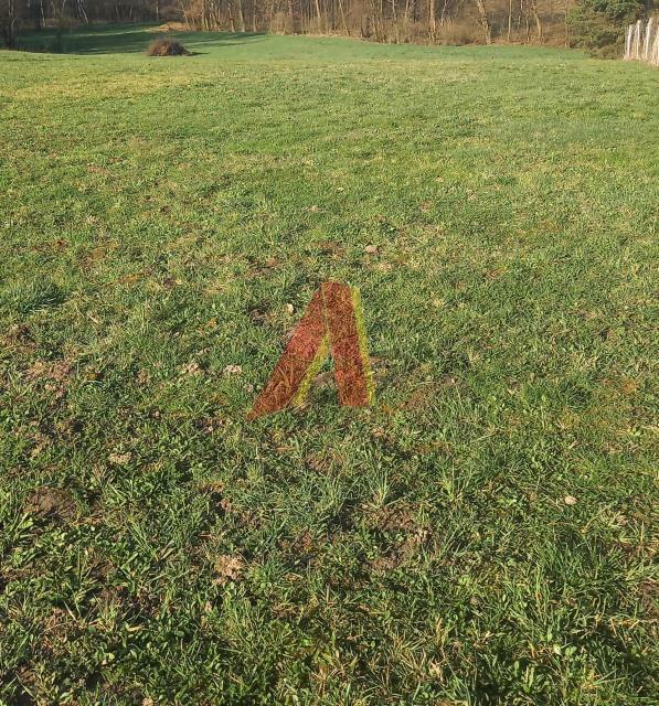 Działka budowlana Bolechowice gm. Zabierzów, Zielona