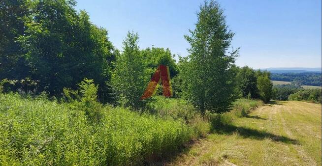 Działka budowlana BUKÓW gm. Mogilany, Mogilany