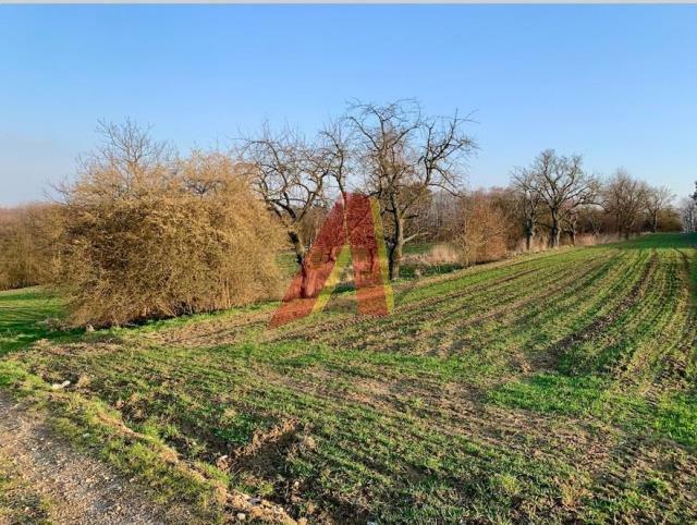 Działka rolna Burów gm. Zabierzów, Burów