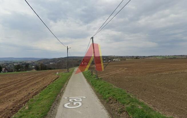 Działka rolna Karniowice gm. Zabierzów, Gaj