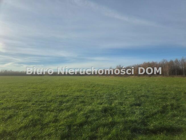 Działka Łochynia gm. Mykanów