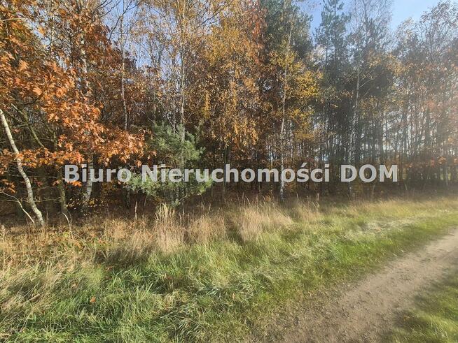 Działka Łochynia gm. Mykanów