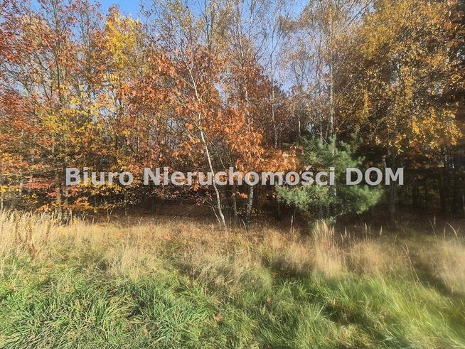 Działka Łochynia gm. Mykanów