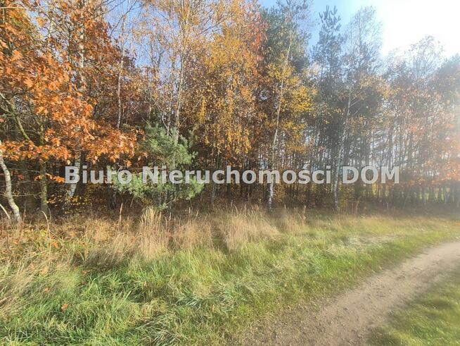 Działka Łochynia gm. Mykanów
