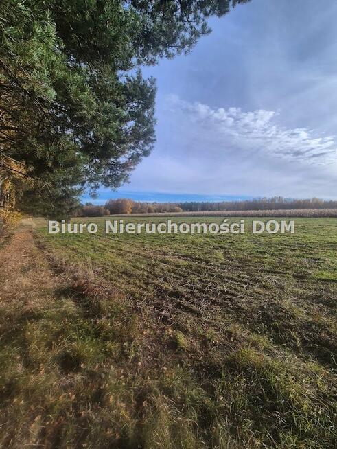 Działka Łochynia gm. Mykanów