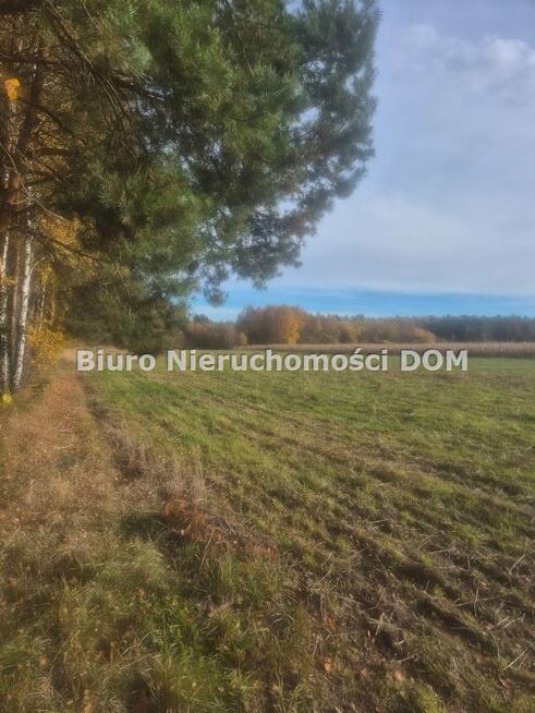 Działka Łochynia gm. Mykanów
