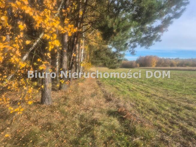 Działka Łochynia gm. Mykanów