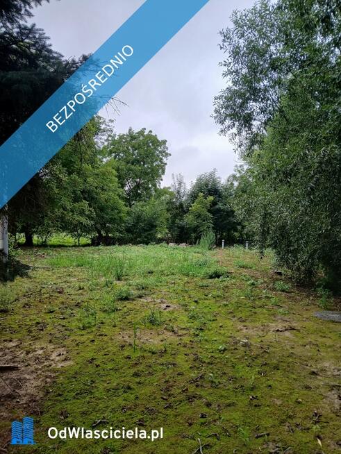 Dom wolnostojący - Ostrówek