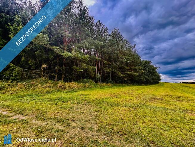 Drygały – piękna działka 1,4 ha w otoczeniu lasów i natury