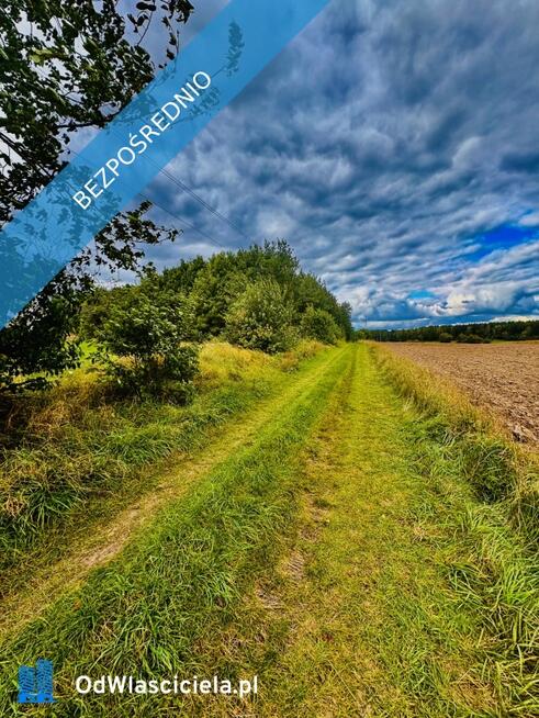 Drygały – piękna działka 1,4 ha w otoczeniu lasów i natury