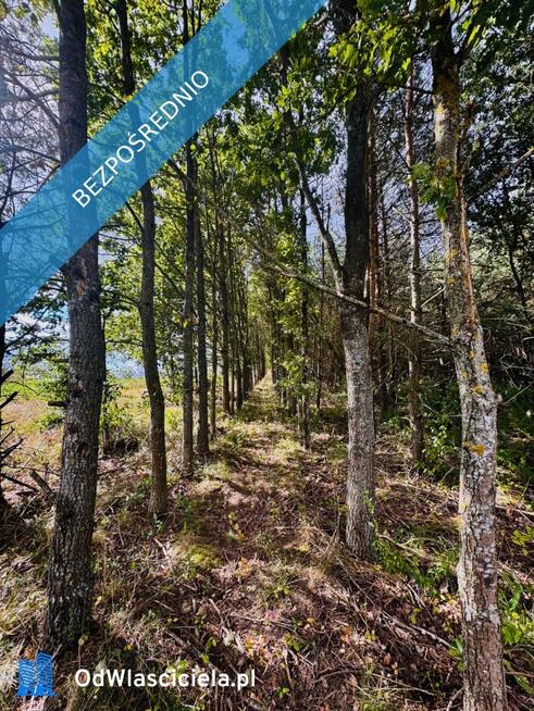 Drygały – piękna działka 1,4 ha w otoczeniu lasów i natury