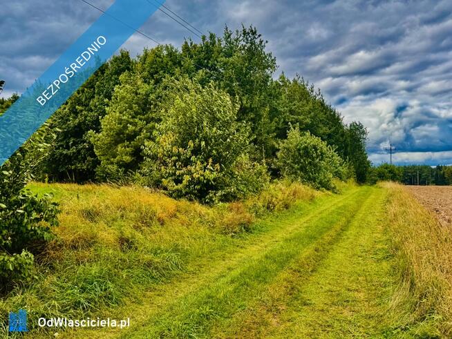 Drygały – piękna działka 1,4 ha w otoczeniu lasów i natury