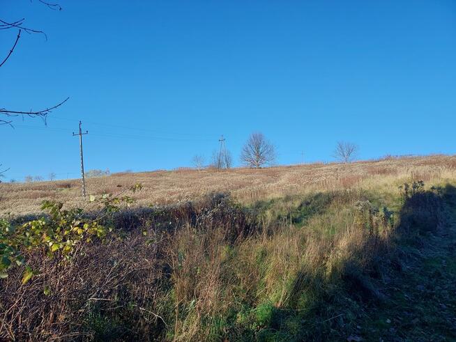 Działka rolna południowy stok, Ciężkowice 75 ar !