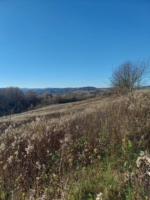 Działka rolna południowy stok, Ciężkowice 75 ar !