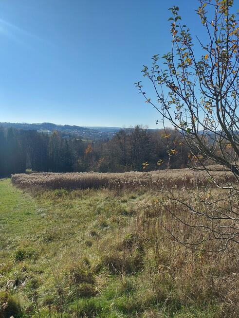 Działka rolna południowy stok, Ciężkowice 75 ar !