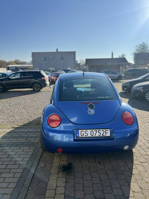 Volkswagen New Beetle