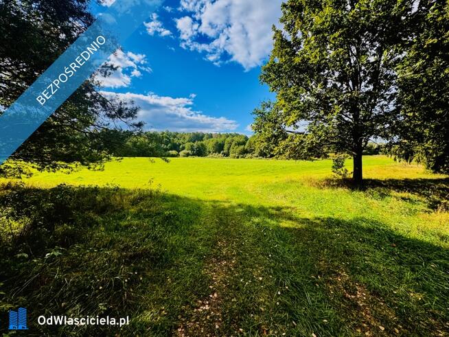 Wyjątkowa działka 2,42 ha wśród zieleni. Cisza, prywatność, natura