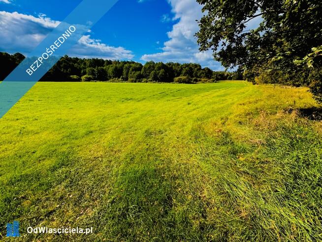 Wyjątkowa działka 2,42 ha wśród zieleni. Cisza, prywatność, natura
