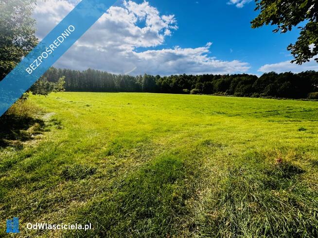 Wyjątkowa działka 2,42 ha wśród zieleni. Cisza, prywatność, natura