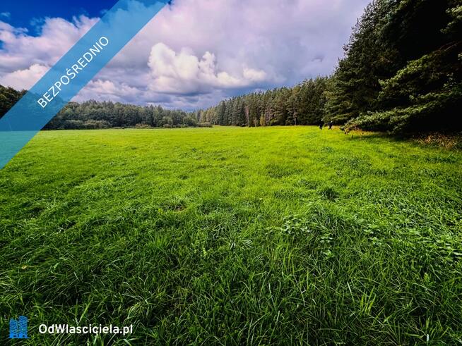 Wyjątkowa działka 2,42 ha wśród zieleni. Cisza, prywatność, natura